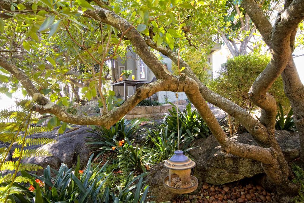 Loerie'S Call Guesthouse Mbombela Exterior photo